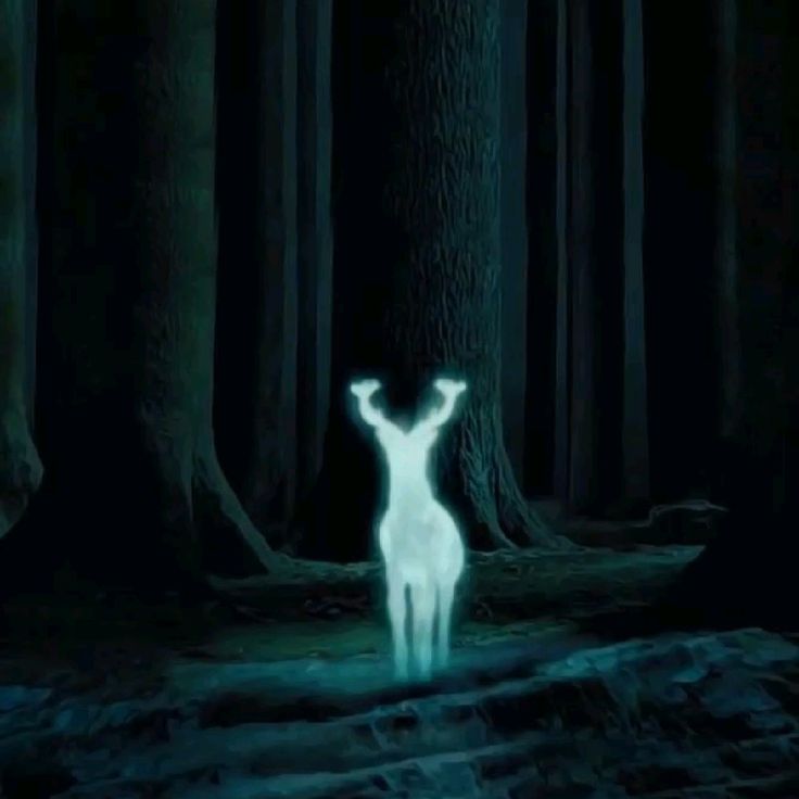 Vela "After all this time?" (ENCHANTED FOREST) 220g - IVE HOUSE