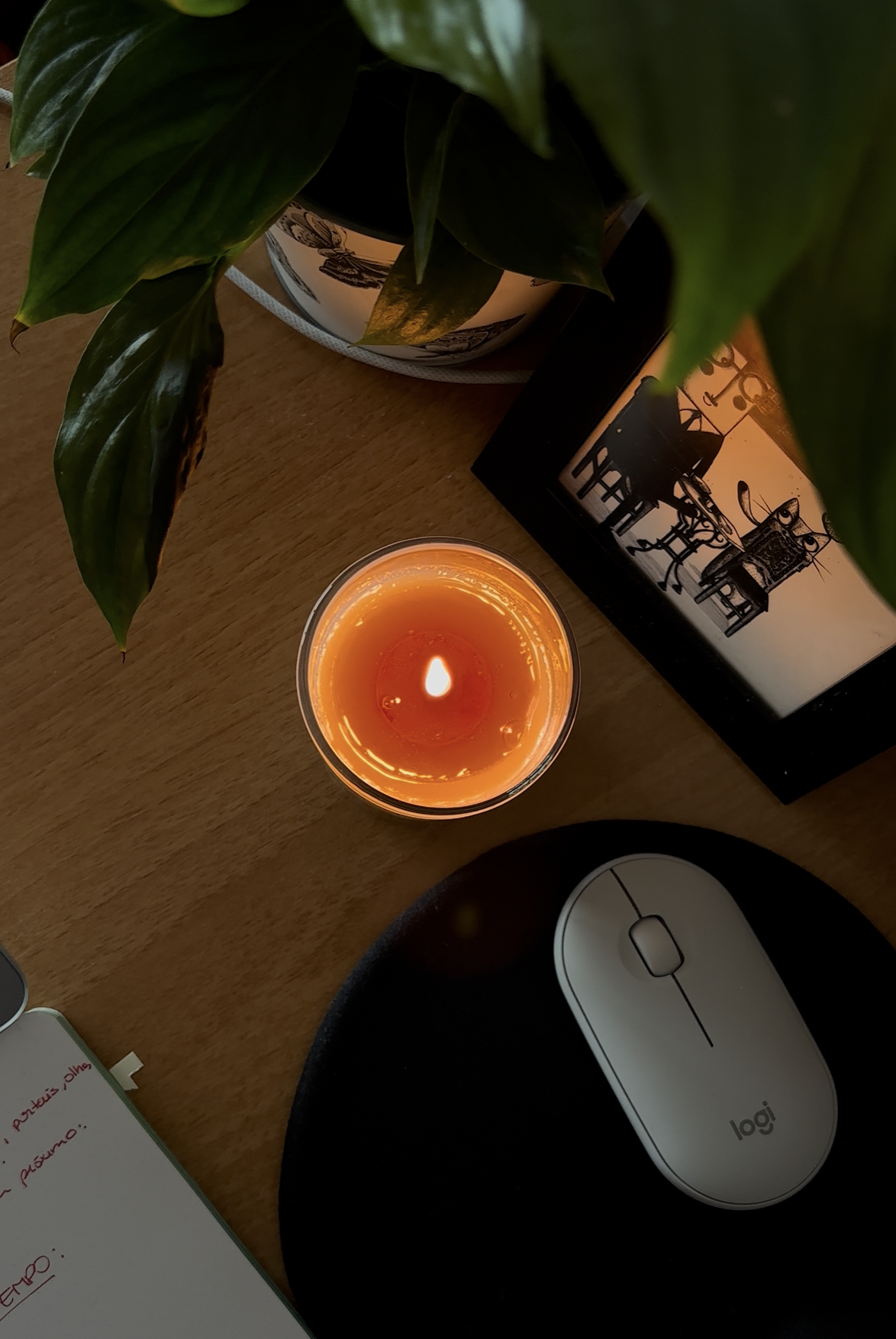 Vela "The Sorting Candle" (MAGIC FOREST) 176g