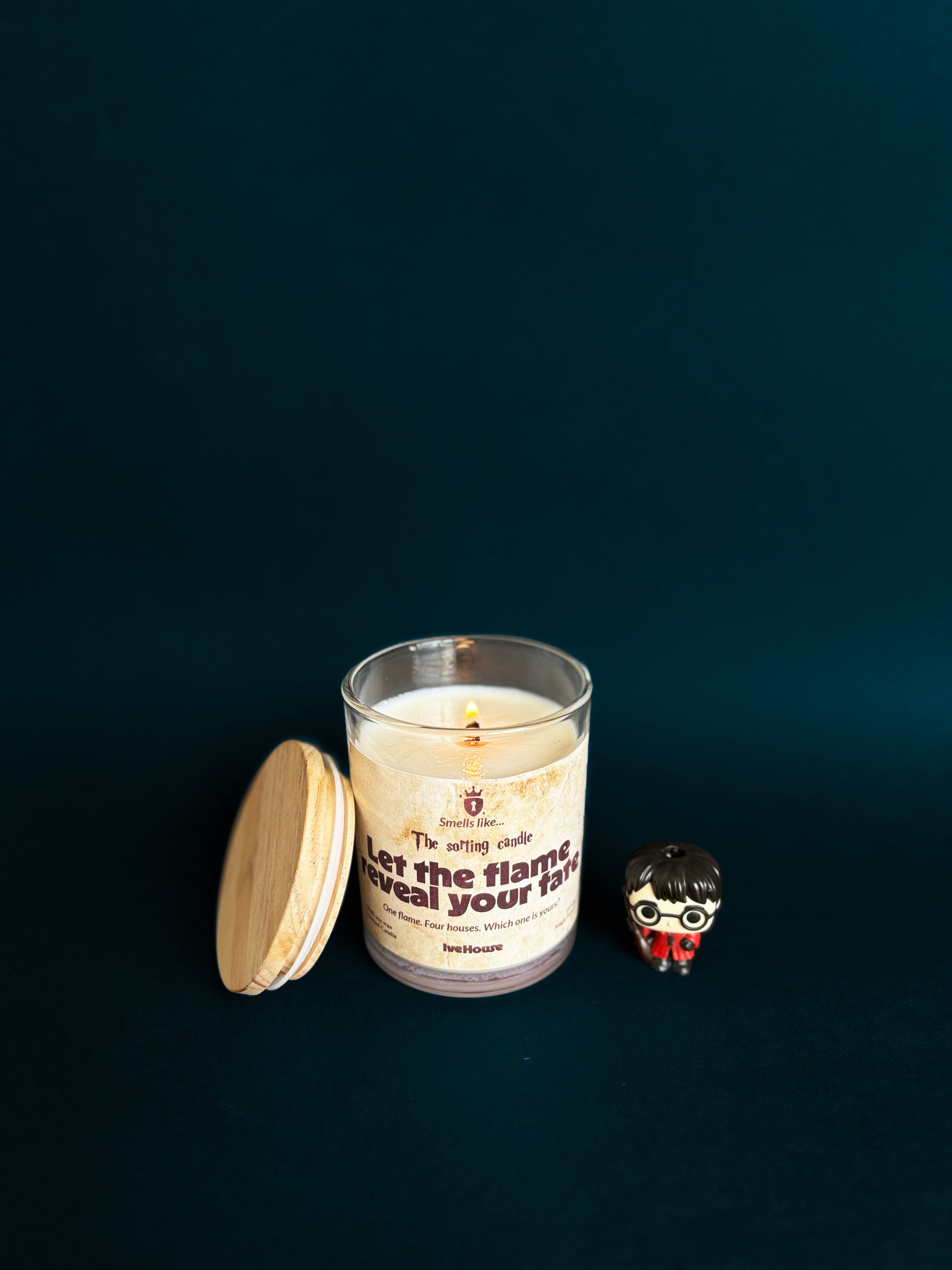 Vela "The Sorting Candle" (MAGIC FOREST) 176g